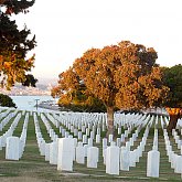 Point Loma Memorial